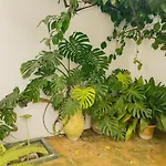 Apartamento Un Tesoro En El Corazón De Cordoba&free Parking *