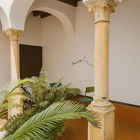 Apartamento Un Tesoro En El Corazón De Cordoba&free Parking