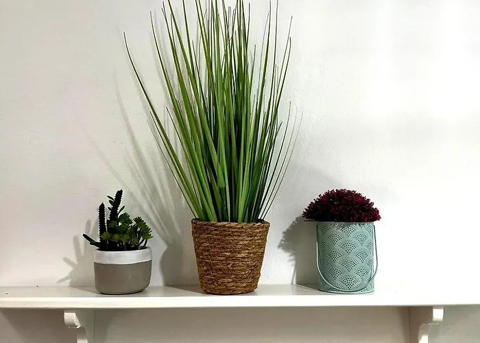 Un Tesoro En El Corazon De & Free Parking