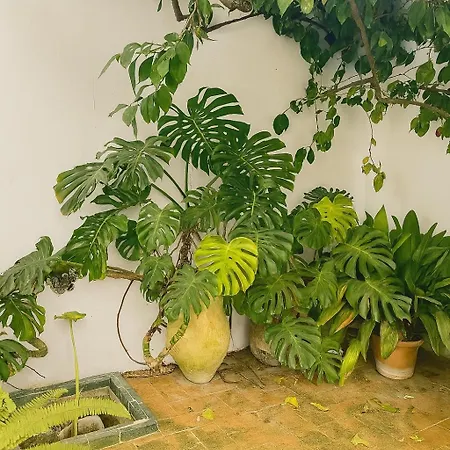 公寓 Un Tesoro En El Corazon De & Free Parking *