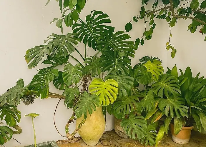 شقة Un Tesoro En El Corazon De & Free Parking *